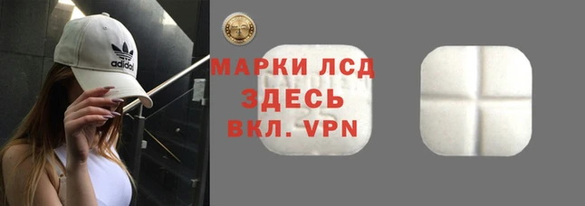 винт Новозыбков