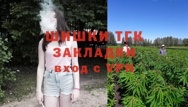 дживик Новодвинск