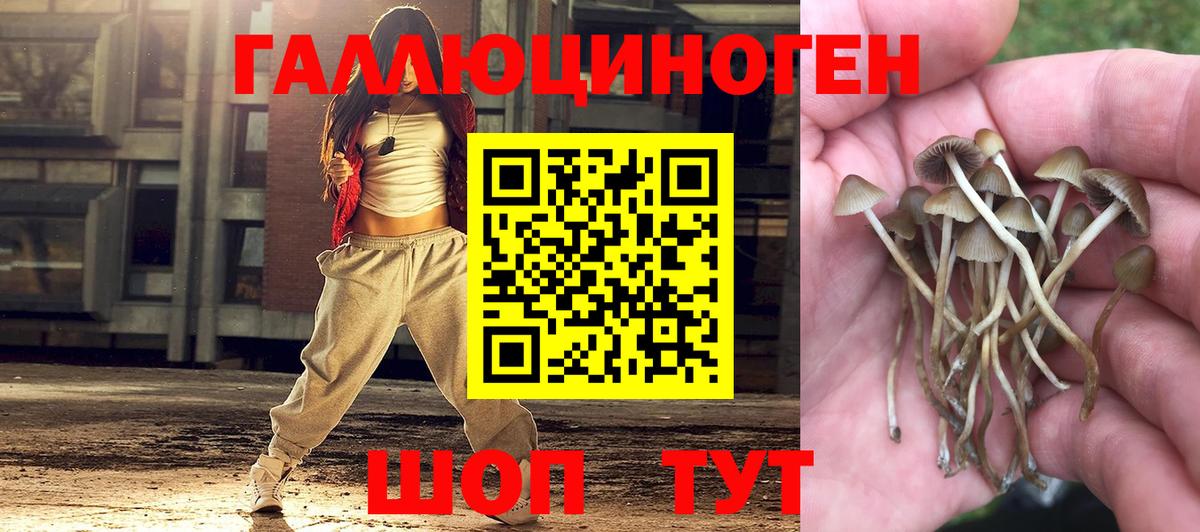 Галлюциногенные грибы мухоморы Мирный