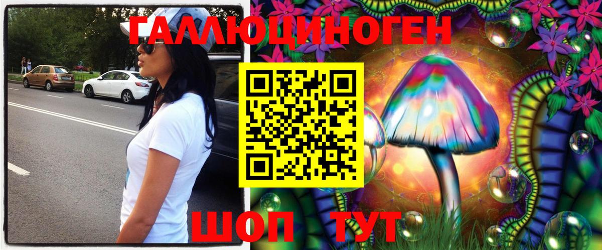 Мирный  Галлюциногенные грибы GOLDEN TEACHER  где можно купить наркотик  Псилоцибиновые грибы Cubensis  Вход с VPN 