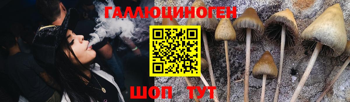 Псилоцибиновые грибы MAGIC MUSHROOMS Мирный