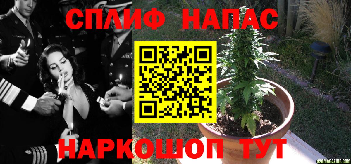 Бошки Шишки Bruce Banner  Бошки Шишки White Widow  Мирный  Бошки марихуана конопля  Марихуана Ganja 